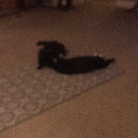 Meet your Posher, Debra - Picture 1 of 1